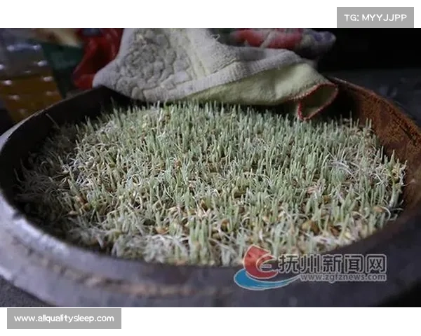 探秘灌香糖的历史渊源与文化价值深度解析