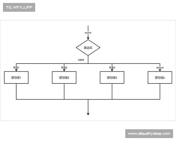 提升战力与实战技巧的全面解析与实战应用指南