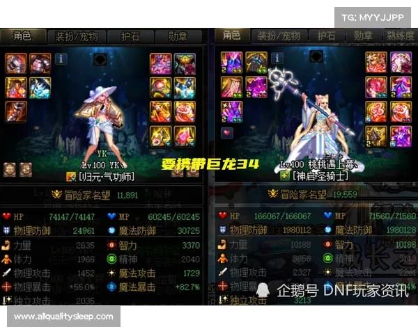 最强斗战神龙女刺客技能搭配与装备选择全面解析